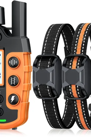 Obéissance garantie à distance – Collier de dressage professionnel